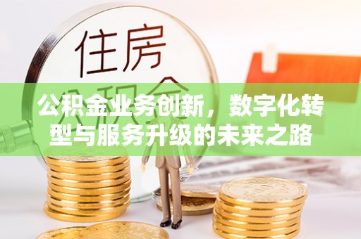 聂荣公积金业务创新，数字化转型与服务升级的未来之路