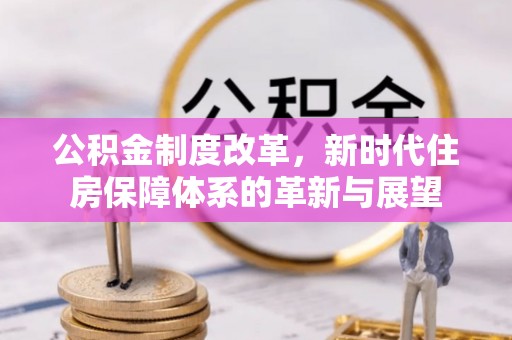 聂荣公积金制度改革，新时代住房保障体系的革新与展望