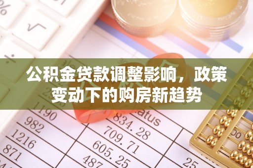 聂荣公积金贷款调整影响，政策变动下的购房新趋势