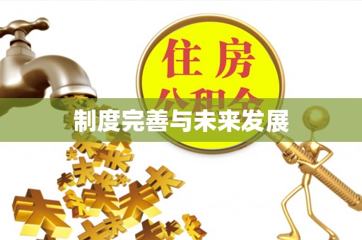 聂荣制度完善与未来发展