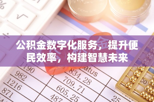 聂荣公积金数字化服务，提升便民效率，构建智慧未来