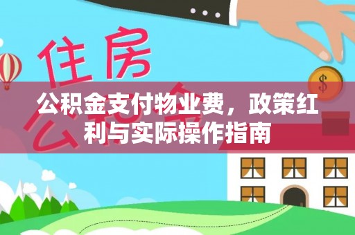 聂荣公积金支付物业费，政策红利与实际操作指南