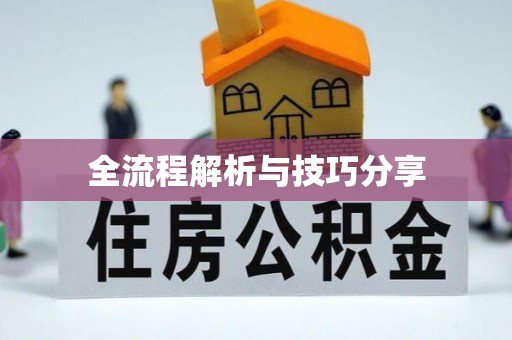 聂荣全流程解析与技巧分享